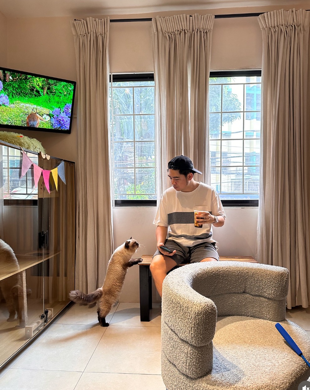 Deric spending time with a Cozy Cat guest in the sunlit lounge