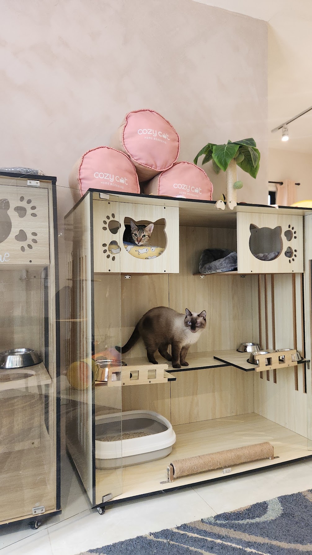 Cozy Cat guests relaxing in a spacious, thoughtfully arranged villa
